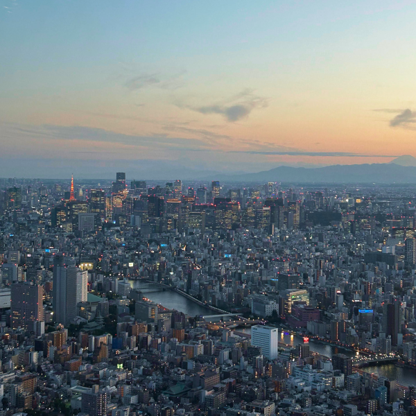 Aerial view of Tokyo, Japan from Tokyo Skytree